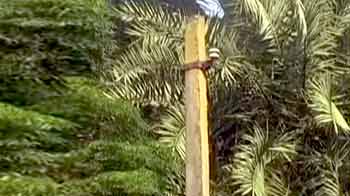 बिहार के इस गांव में 17 साल से गुल है बिजली