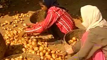 FDI hot potato in Parliament: The 'McAloo wars'