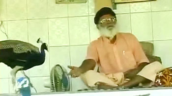 सौराष्ट्र के जंगलों से अनोखा वोटर!