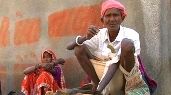 Video : Gujarat polls: The tribal factor