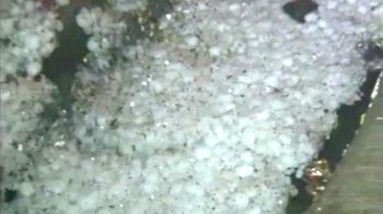 Video : Overnight rain, hailstorm lash Delhi; temperature dips
