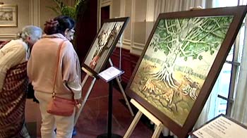Video : Auction to raise fund for tiger protection