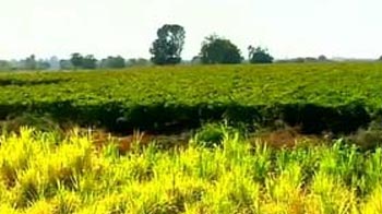 Here's how a village in Maharashtra made itself drought-proof