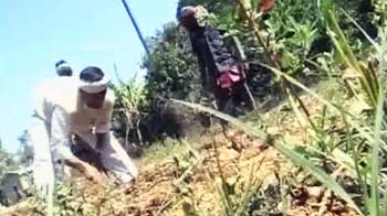 Videos : किसानों की कर्ज माफी योजना में गड़बड़ियों का खुलासा