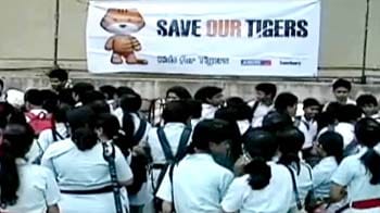 Kids for tiger's festival in Mumbai