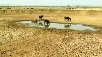 Truth vs Hype: Maharashtra - Drought by design