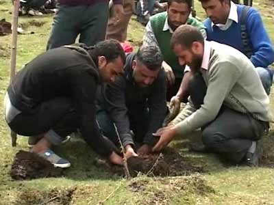 Young volunteers trying to recover the Valley's green treasure