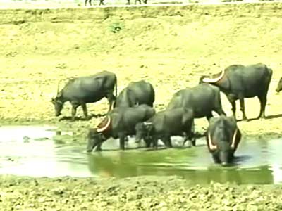 बिहार को अगले चार साल में मिलेंगे 12 हजार करोड़