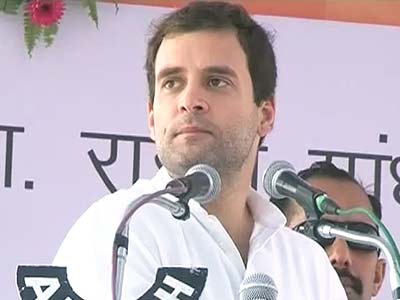 पहले लड़ो स्थानीय निकाय चुनाव : राहुल गांधी