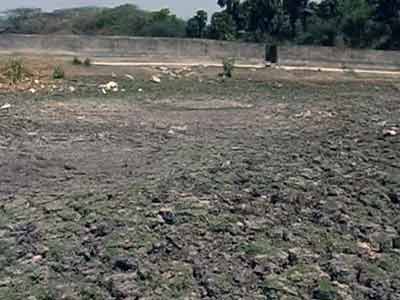 Depleting groundwater in Kerala: Palakkad staring at severe drought
