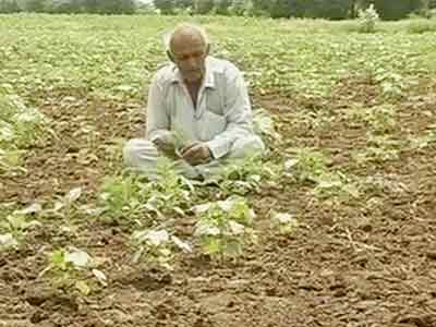 Videos : मोदी के गुजरात में खुदकुशी को मजबूर किसान