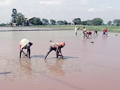 बिहार की तरक्की बनी पंजाब के किसानों की मुसीबत