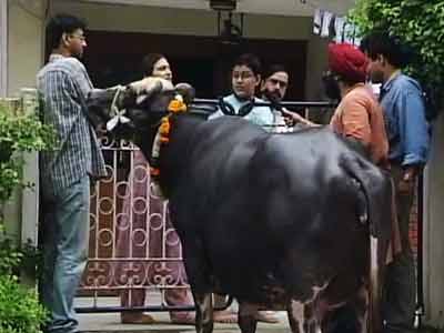 एनडीटीवी क्लासिक : जब क्विज खेलने निकल पड़ा 'छुपा रुस्तम'...