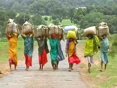 Cabinet to take up ordinance on Food Security Bill today