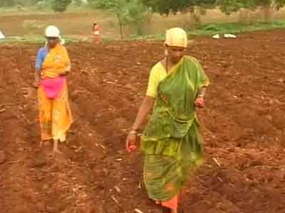 Video : This monsoon, Karnataka farmers sowing 'seeds of hope'