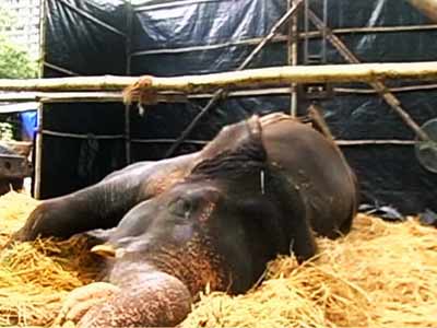 मोटी हुई बिजली, 1500 किलो घटाना होगा वजन