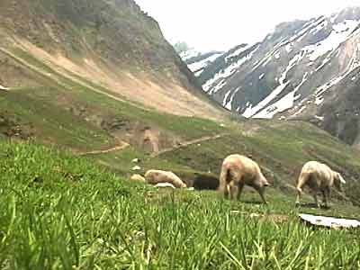 सैर-ए-कश्मीर : भारत का स्विटजरलैंड