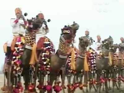 Video : 24 Hours: Camels on Rajpath (Aired: January 2010)