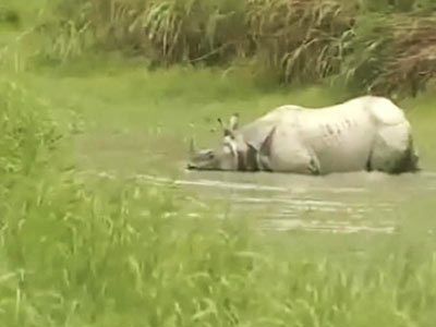 Assam floods: evacuation alert sounded, Kaziranga partially flooded
