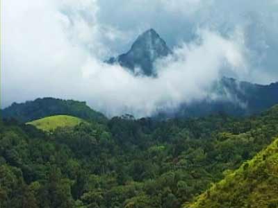 Seven Wonders of India: Kerala's Silent Valley National Park (Aired: December 2008)