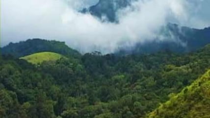 Seven Wonders of India: Kerala's Silent Valley National Park (Aired: December 2008)