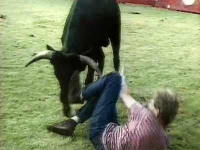 The World This Week: Raging bull (Aired: August 1991)