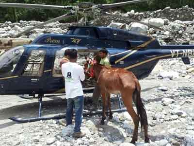 In Uttarakhand, a mule is rescued after 27 days in a daring operation In Uttarakhand, a mule is rescued after 27 days in a daring operation