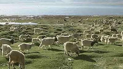 Born Wild: The wetlands of Ladakh (Aired: February 2007)
