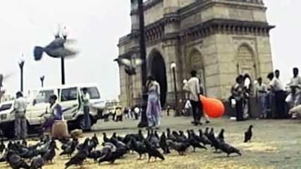 इंडियानामा : बम धमाकों का मुसलमानों पर असर