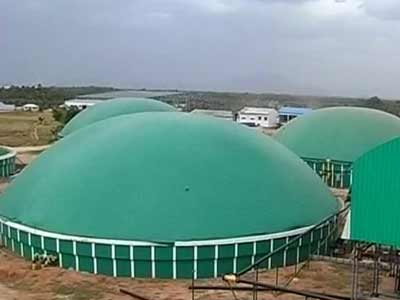 Tamil Nadu firm produces electricity using poultry waste