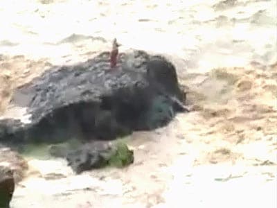 नदी के तेज बहाव में तीन घंटे तक फंसी रही महिला
