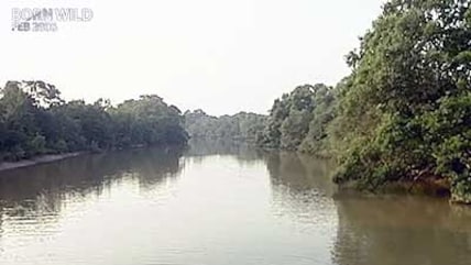 Born Wild: Preserving Odisha's Bhitarkanika Mangroves (Aired: February 2006)
