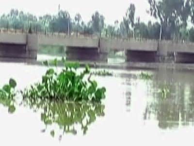Video : पंजाब : सतलुज नदी उफान पर, कई गांवों में घुसा पानी