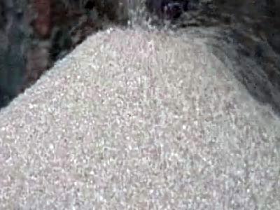 खाद्य सुरक्षा बिल पर समर्थन जुटाने में लगी सरकार