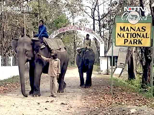 Video : Born Wild: Welcome to Manas (Aired: September 2006)