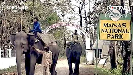 Born Wild: Welcome to Manas (Aired: September 2006)