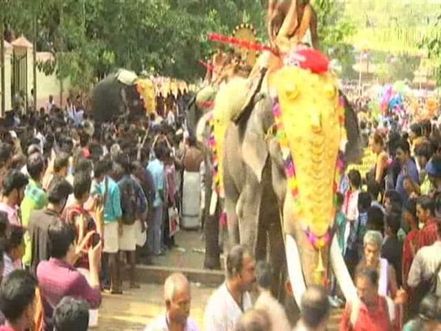 Video : Thrissur Pooram, Huge Kerala Fest, Will Have Fireworks, Agrees Court