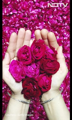 Videos : Top 4 gift ideas for Rose day