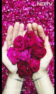 Top 4 gift ideas for Rose day