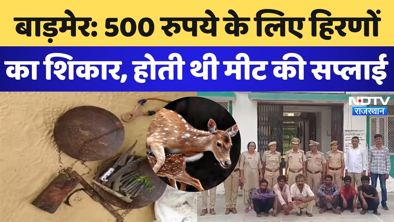 बाड़मेर: 500 रुपये के लिए हिरणों का शिकार, होती थी मीट की सप्लाई