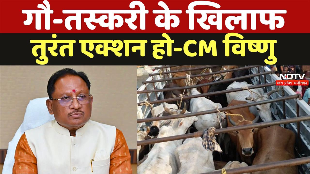 Chhattisgarh News: गौ-तस्करी और नशा के खिलाफ तुरंत एक्शन हो-सीएम विष्णु देव