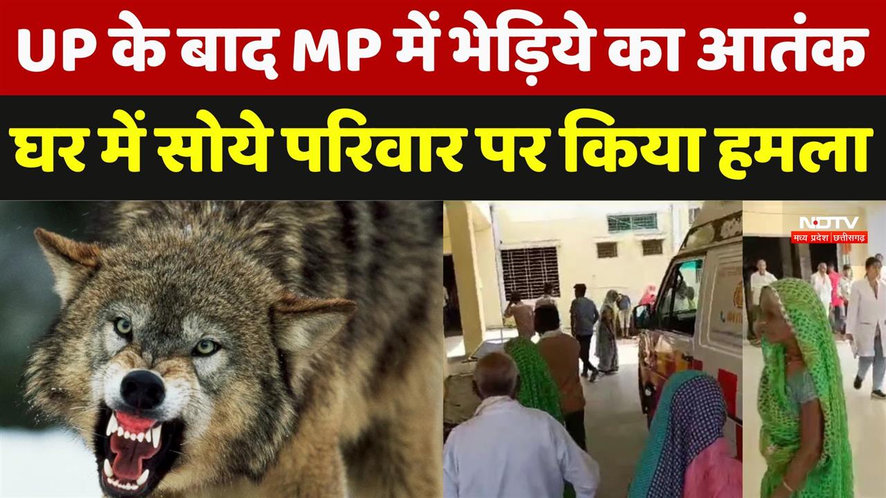 UP के बाद MP में भेड़िये का आतंक,घर में सोये परिवार पर किया हमला