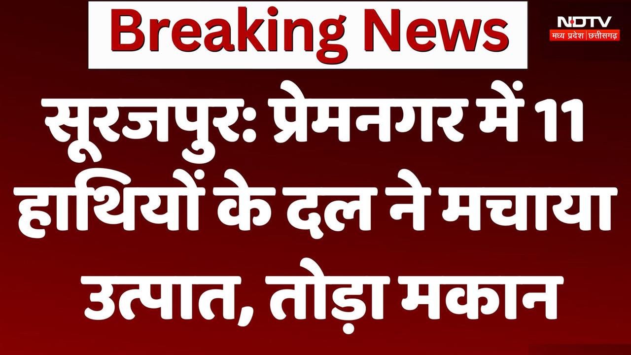 Surajpur में 11 हाथियों के दल ने मचाया उत्पात, तोड़ा मकान