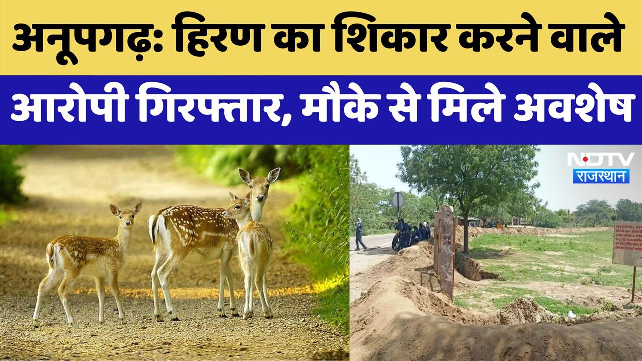 अनूपगढ़ में हिरण का शिकार करने वाले आरोपी गिरफ्तार, मौके से मिले अवशेष