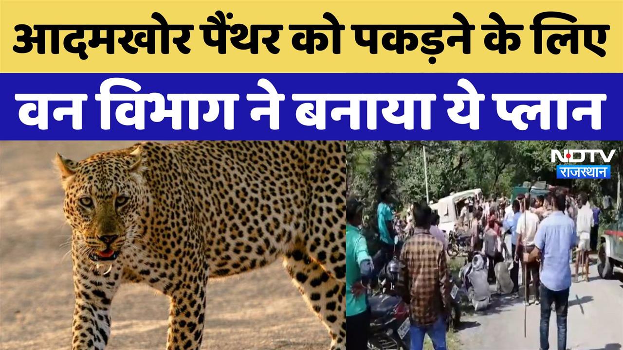 Udaipur Panther Attack: आदमखोर पैंथर को पकड़ने के लिए वन विभाग ने बनाया ये प्लान