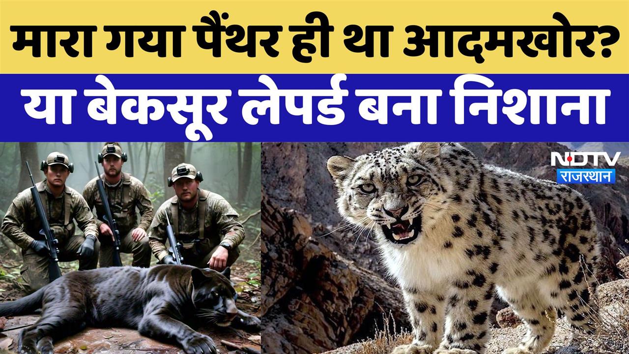 Shoot Leopard: मारा गया Panther ही था आदमखोर? या बेकसूर Leopard बना निशाना