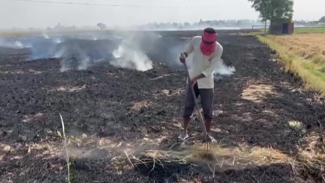 Video : Haryana: Kaithal Reports Highest Stubble Burning Cases Despite Govt Action And Arrests