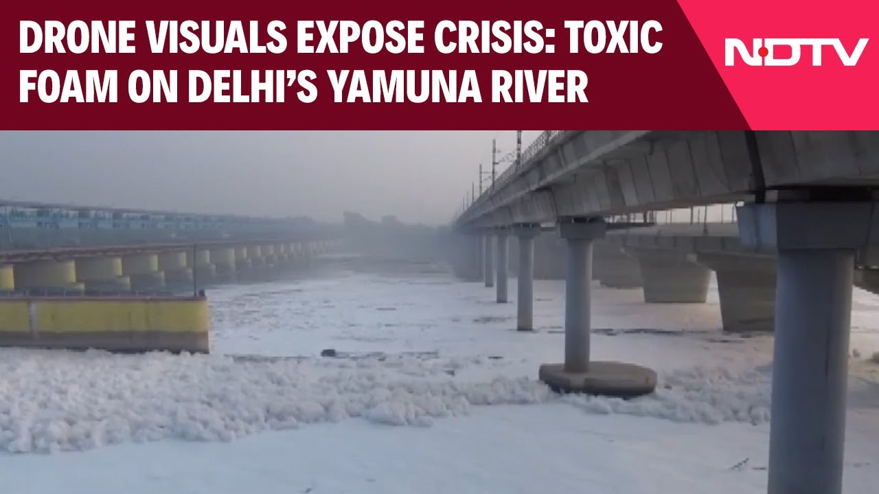 Video : Drone Visuals Show Toxic Foam Floating On Delhi's Yamuna River