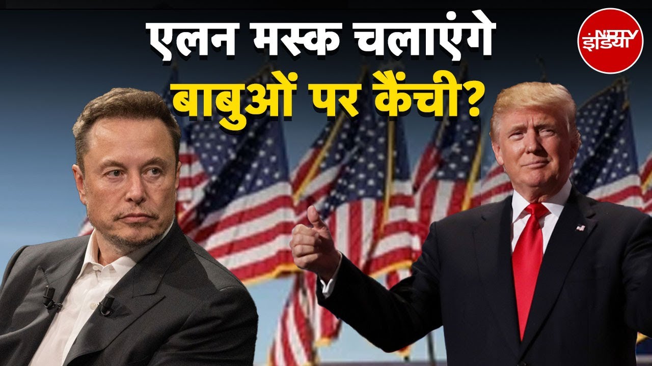 Elon Musk चलाएंगे बाबुओं पर कैंची? क्या बदलेगा America का बाबू सिस्टम?