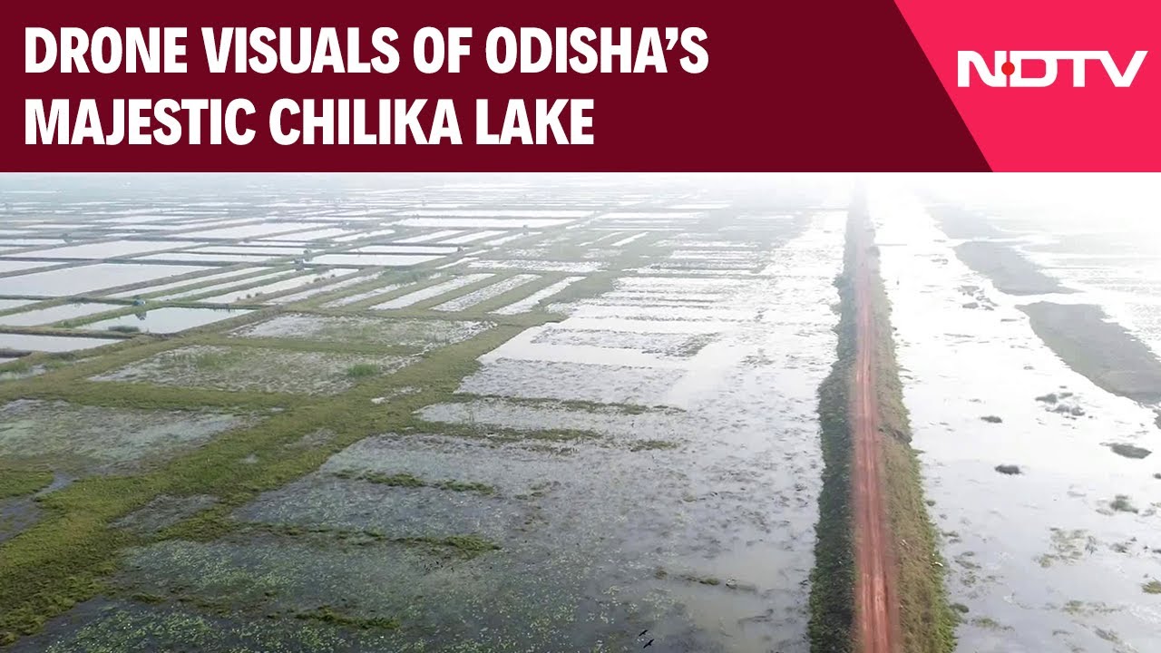 Drone Visuals Of Odisha's Majestic Chilika Lake